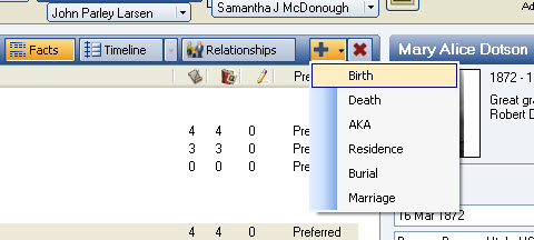 Image of Screen for Adding Facts Quickly