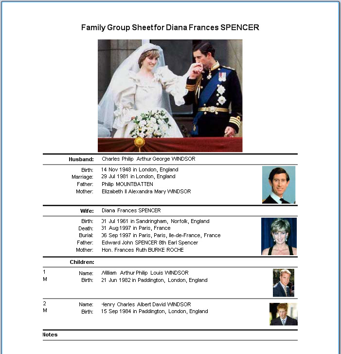 Image of Screen for the Family Group Sheet