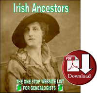 One Stop Website For Irish Ancestors (Digital Download)